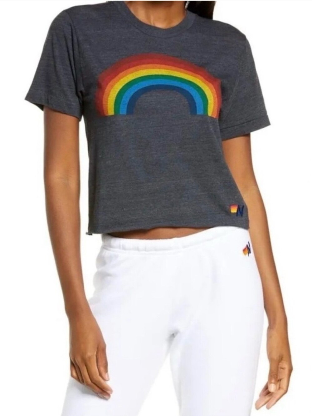 Aviator Nation Charcoal Rainbow Graphic Crop Tee XS